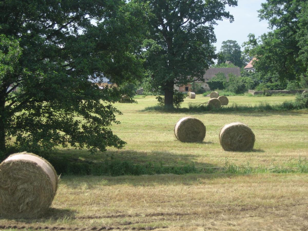 Landappartement Stritter Radeburg Buitenkant foto